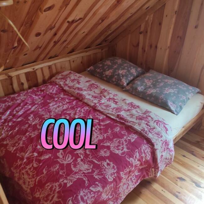 Wynajem domku letniskowego nad jeziorem Skrzyneckim, kuj.-pom