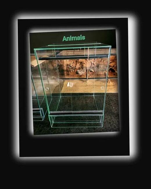 Terrarium 60 x 40 x 80 ANIMALS
