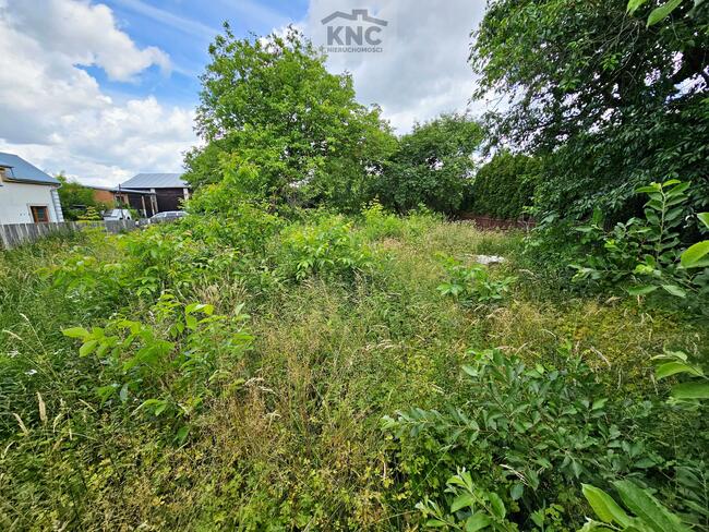 Dom Zalesie gm. Niemce