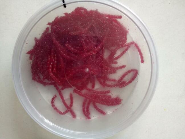 Sztuczne robaki biały czerwony ochotka