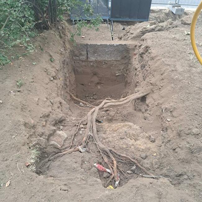 Wynajem AirSpade Wrocław | Bezinwazyjne odsłanianie korzeni