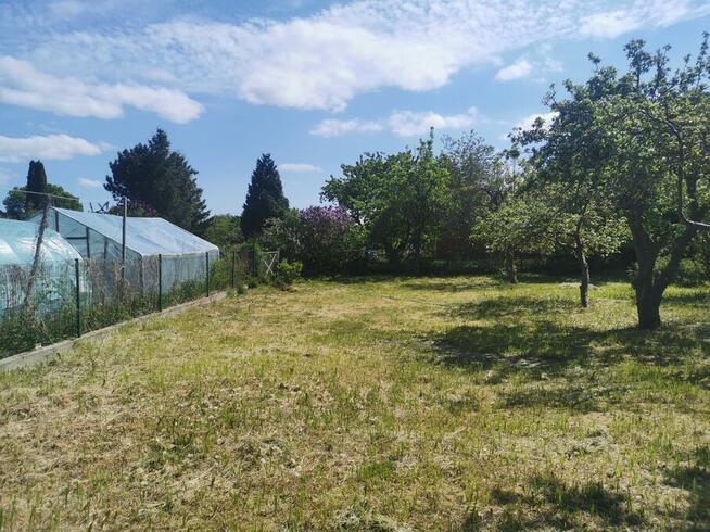 Działka rekreacyjna ROD w Kamieniu Pomorskim (8 km od Morza)