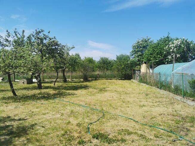 Działka rekreacyjna ROD w Kamieniu Pomorskim (8 km od Morza)