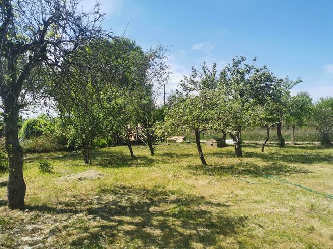 Działka rekreacyjna ROD w Kamieniu Pomorskim (8 km od Morza)