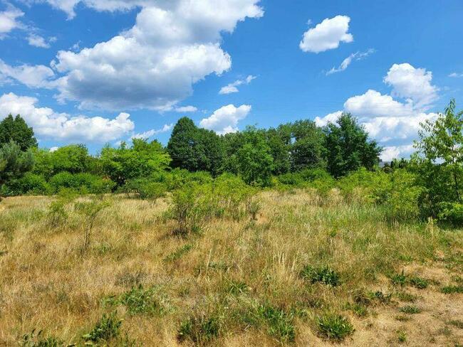 Piękna działka z możliwością zabudowy w Gostyninie