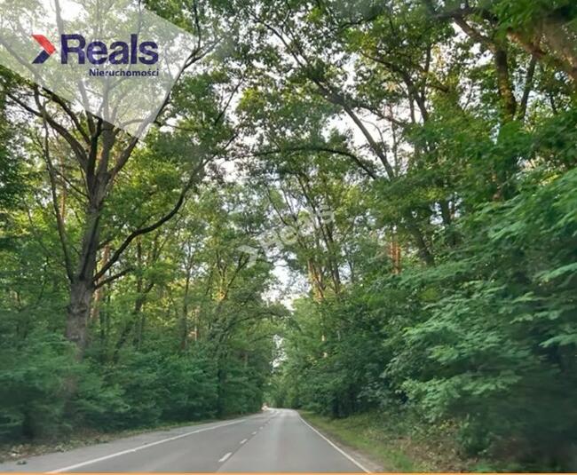 Działka budowlana 1200 m2 k. Konstancina