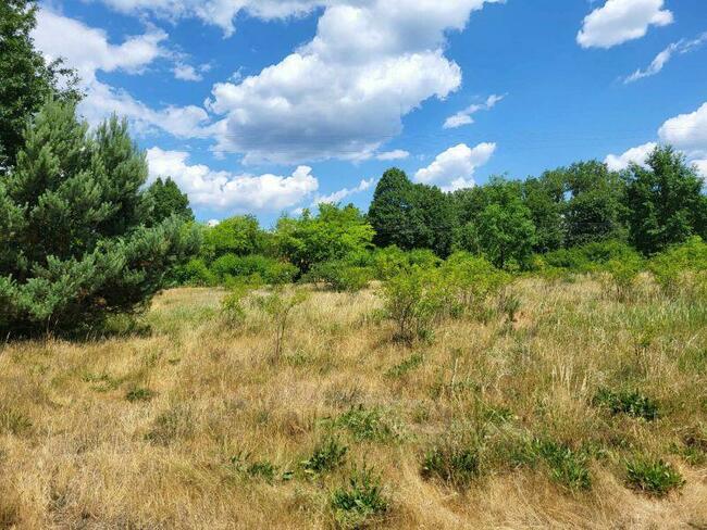 Piękna działka z możliwością zabudowy w Gostyninie