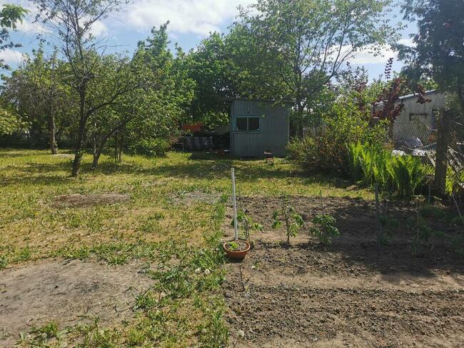 Działka rekreacyjna ROD w Kamieniu Pomorskim (8 km od Morza)