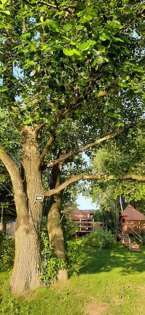 Domek letniskowy nad jez. Gaładuś