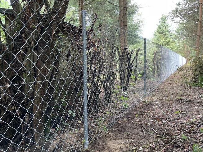 Siatka ogrodzeniowa Montaż Szybkie terminy