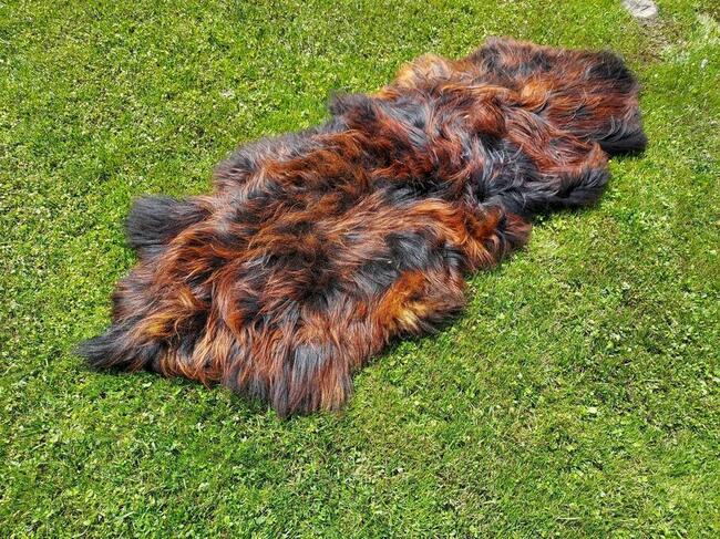 Dywan ze Skór Owczych Islandzkich Płomienista Czerń