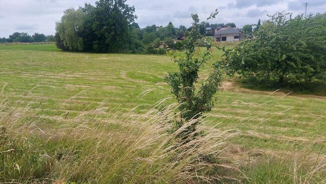 Mysłowice Morgi, całość lub możliwość wydzielenia mniejszej