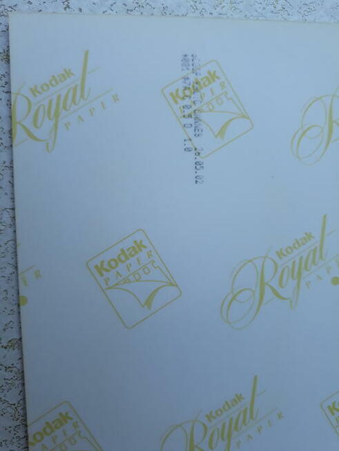 Zdjęcia celebrytów Cannes 2002 r.