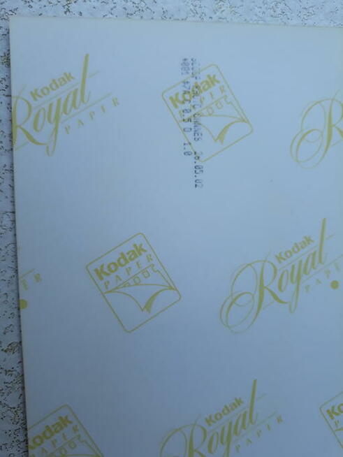 Zdjęcia celebrytów Cannes 2002 r.