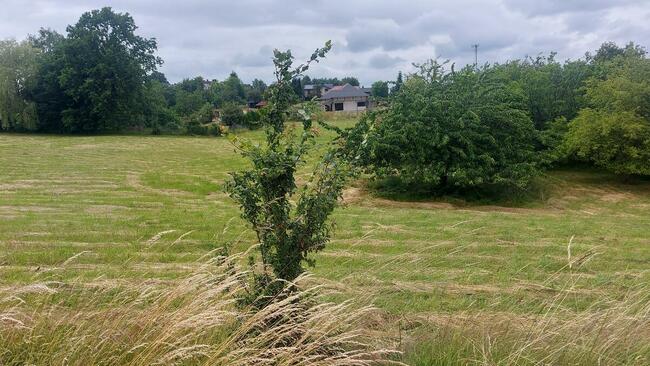 Mysłowice Morgi, całość lub możliwość wydzielenia mniejszej