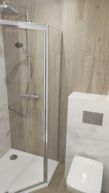 Plytkarz Malarz 889264528