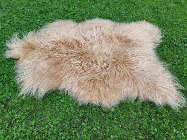 Owcza Skóra Naturalna Beżowa Długi Kręcony Włos Skóra Owcza