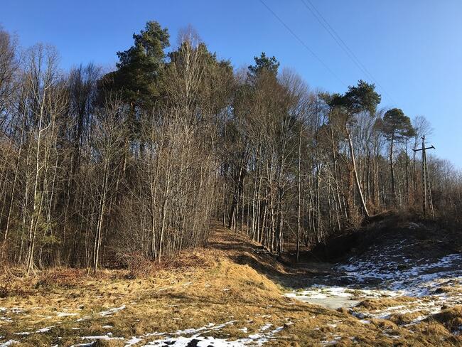 Cichawka, teren inwestycyjny - NOWA CENA!