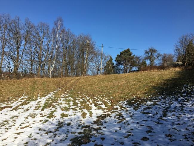 Cichawka, teren inwestycyjny - NOWA CENA!