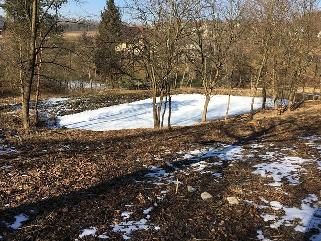 Cichawka, teren inwestycyjny - NOWA CENA!