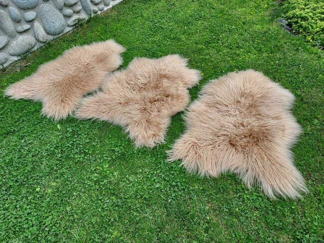 Owcza Skóra Naturalna Beżowa Długi Kręcony Włos Skóra Owcza