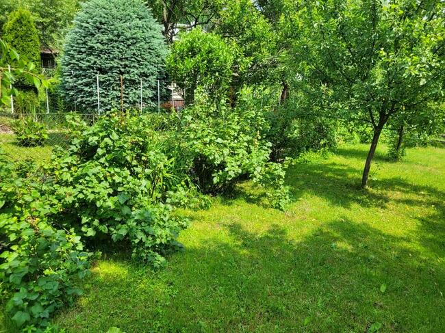 Rodzinne Ogródki Działkowe ROD Kraków