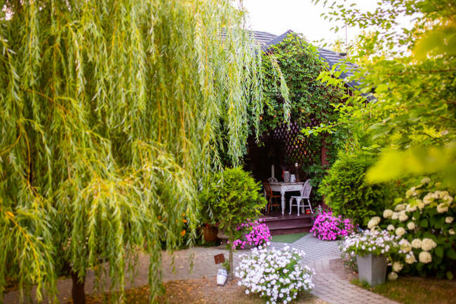 Siedlisko Rozalin catering wesela Kazimierz Nałęczów