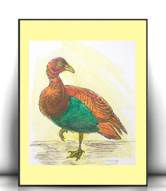 ptaszek obrazek A4, zwierzeta plakat 21x30