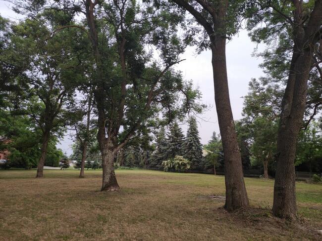 Sprzedam działkę pod dom w Oblesie