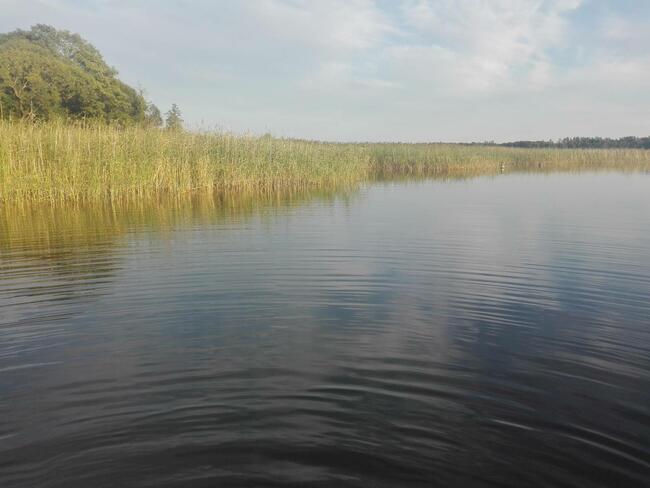 Działka inwestycyjna Giętkie gm. Biała Piska