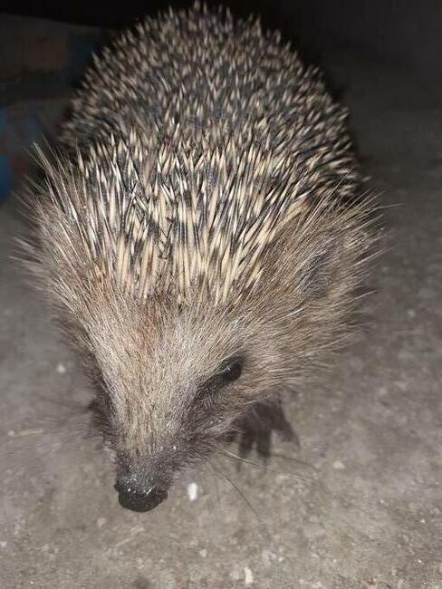 Wirtualna znajomość PRZYIACIELE