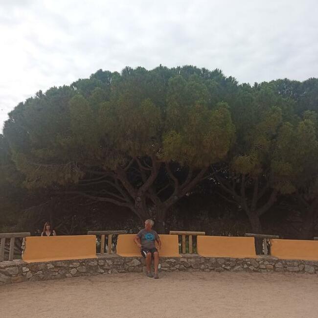 angielski - zajęcia indywidualne online Messenger.