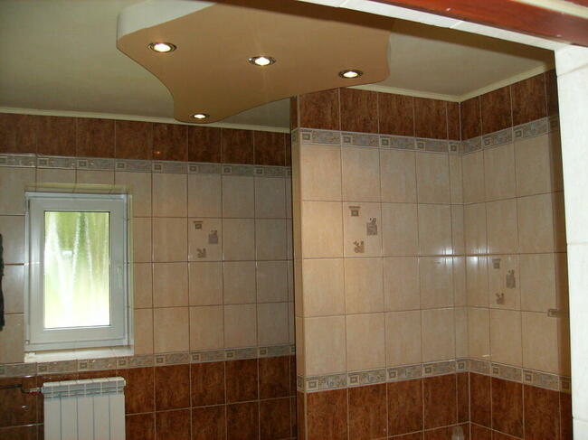 Siedlisko 6,5 H w jednym kawałku w wnęce w lesie dwa domy