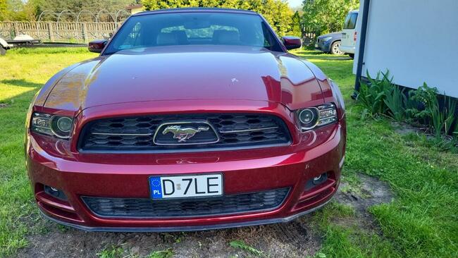 Ford mustang cabrio pony package premium