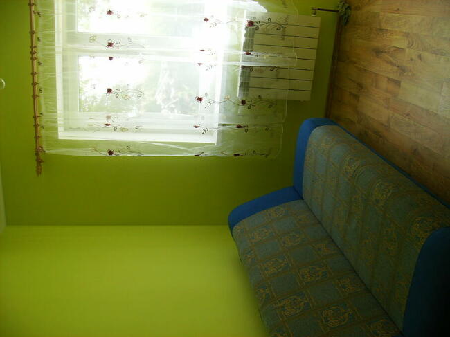 Siedlisko 6,5 H w jednym kawałku w wnęce w lesie dwa domy