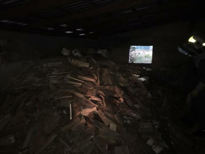 Usuwanie gniazd szerszeni i os.