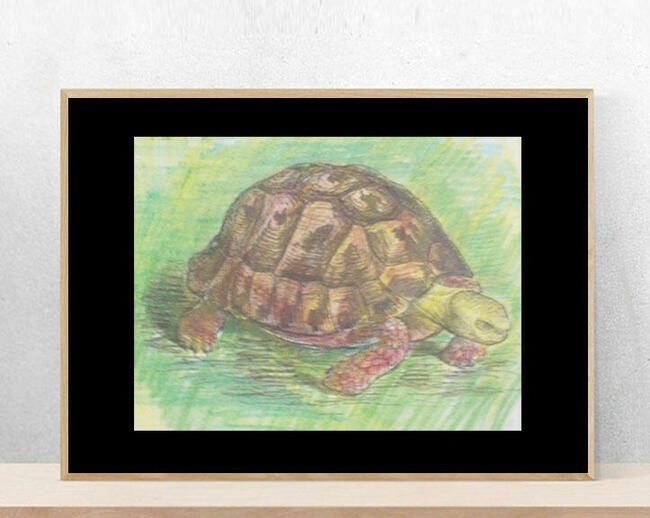 żółw obraz A4, vintage plakat z żółwiem