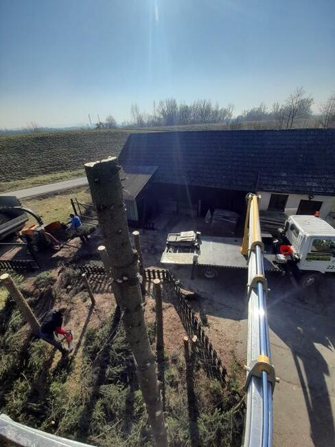 Wycinka Drzew Mielenie Gałęzi Usuwanie Pni Korzeni