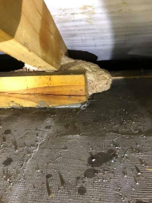 Usuwanie gniazd szerszeni i os.