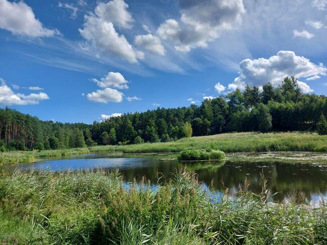Domek nad jeziorem własna linia brzegowa pomost rower wodny.