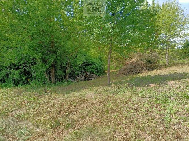 Działka rolno-budowlana Jakubowice Konińskie gm. Niemce