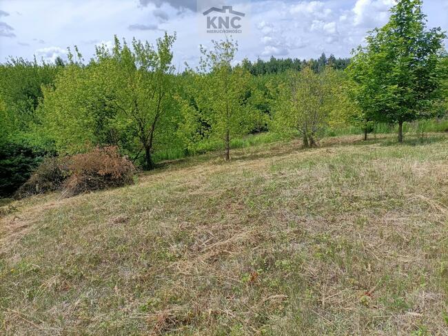 Działka rolno-budowlana Jakubowice Konińskie gm. Niemce