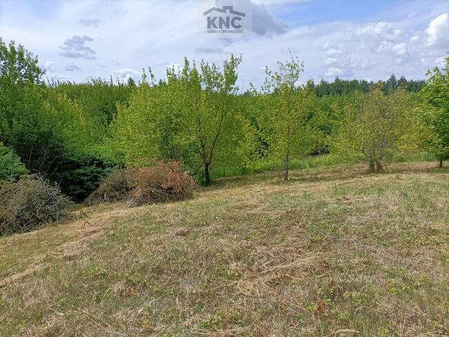 Działka rolno-budowlana Jakubowice Konińskie gm. Niemce