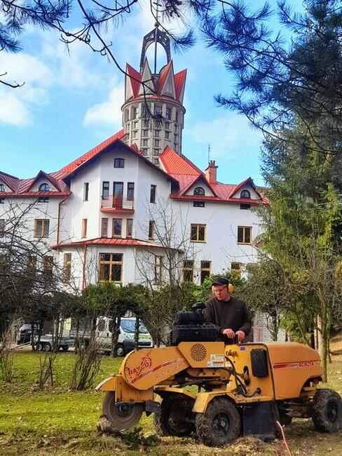Wycinka Drzew Mielenie Gałęzi Usuwanie Pni Korzeni