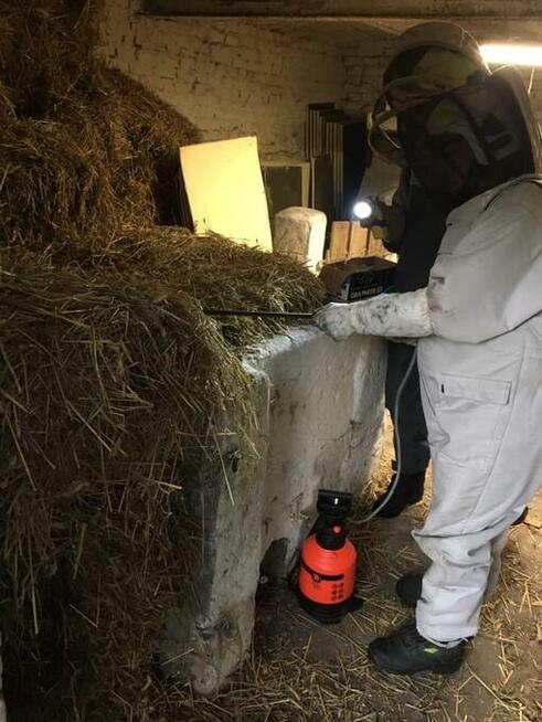 Usuwanie gniazd szerszeni i os.