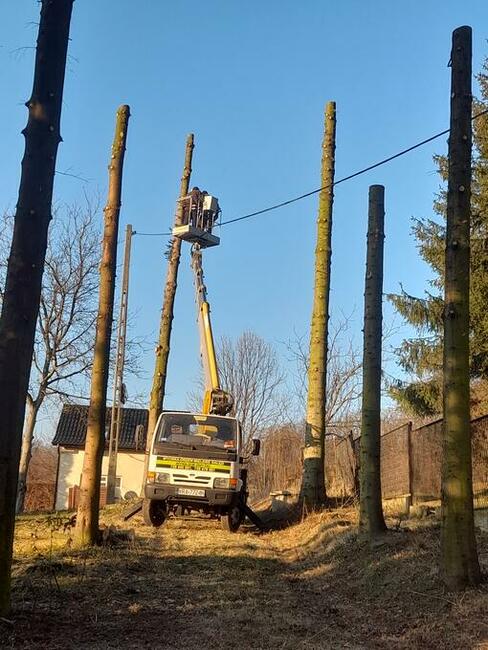 Wycinka Drzew Mielenie Gałęzi Usuwanie Pni Korzeni