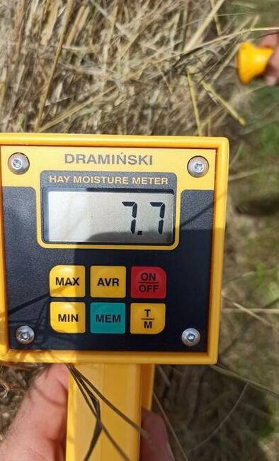 Siano ekologiczne, cena 150 zł z transportem rezerwacja 2024