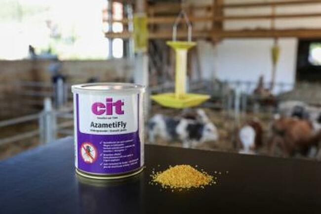 Stacja dezynsekcyjna na trutkę na muchy, wisząca/stojąca