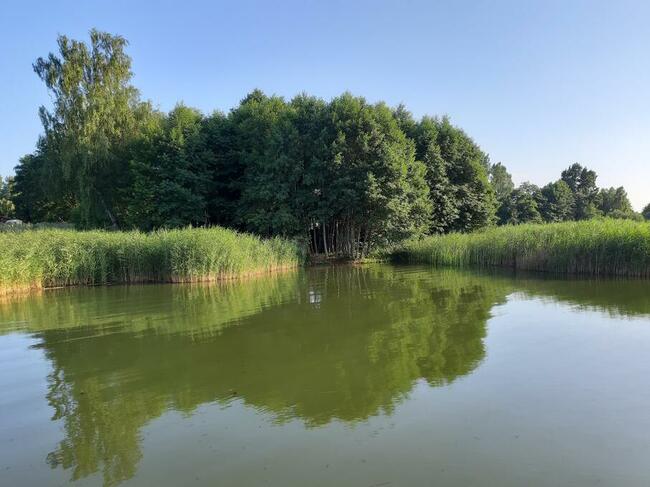 Domek nad jeziorem własna linia brzegowa pomost rower wodny.