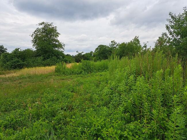 Działka nad jeziorem rokola otwock wielki